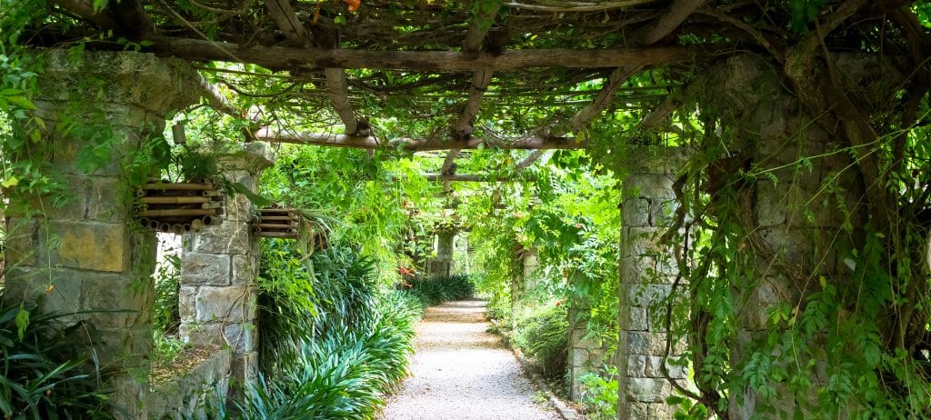 Garden with Pergola structure with bright colors during late summer season